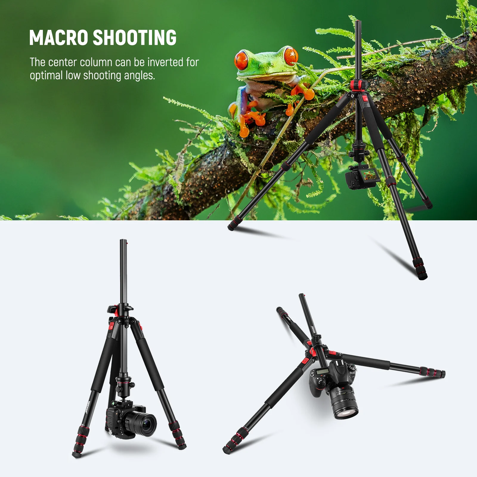 NEEWER N284L+G0 Camera Tripod Monopod - Image 5
